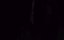    / Pieds nus sur les limaces - 