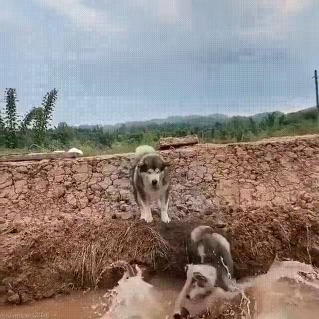 ������