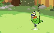 ��� � ��� / Mongo - 1 �����, 11 �����