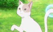 ��� � ������ / Neko to Ryuu - 1 �����, 9 �����