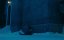   / A Christmas Carol - 