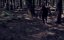  / The Redneg - 
