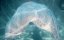    / A Mermaid for Christmas - 