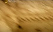 ����������� �� �������� / Banged Up Abroad - 4 �����, 8 ����� "���� IraqKidnapped In Iraq"