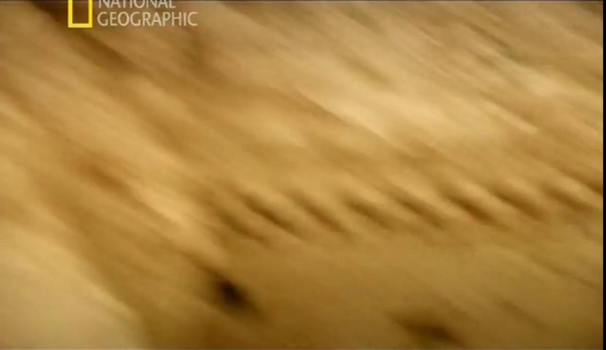 ������