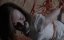 ������������ �������� / Cleveland Abduction - �����