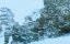  2022:   / Recon 2022: The Mezzo Incident - 