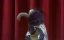 ������-��� / The Muppet Show - 2 �����, 23 �����