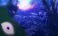 ��������� ����������������� ������ ������ �� ����� ���� ������ � ������� ���� / Tsuihou sareta Tensei Juukishi wa Game Chishiki de Musou suru - 1 �����, 10 �����