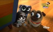 ������� ����� / Puppy Dog Pals - 4 �����, 21 ����� "��������� ��������� ������"