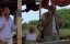  2:     / Anacondas: The Hunt for the Blood Orchid - 