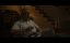   / Armageddon Time - 