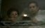   / The Cider House Rules - 