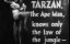 ������: �������-�������� / Tarzan the Ape Man - �������