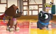 ������� ����� / Puppy Dog Pals - 5 �����, 16 ����� "���� �������� �����"
