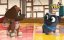 ������� ����� / Puppy Dog Pals - 5 �����, 16 ����� "���� �������� �����"