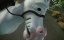     / Oakie's Outback Adventures - 