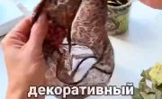 ����, ����� �� ����� ...
