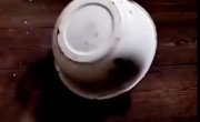 ��� ��� �� �������