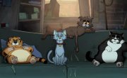 ������� ���� / Ricky Gervais Alley Cats - 1 �����, 3 �����