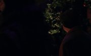      ( ) / What We Do in the Shadows - 2 , 9 