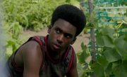   / Chicago PD - 13 , 1 