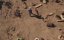  / Scrap - 