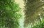 ��� ��� ��������: ���� ����������� / Grow Up Show Himawari no Circus-dan - 1 �����, 9 �����