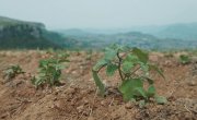    / This Thriving Land - 1 , 24 