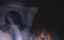 ����������� 2 / Watchers II - �����