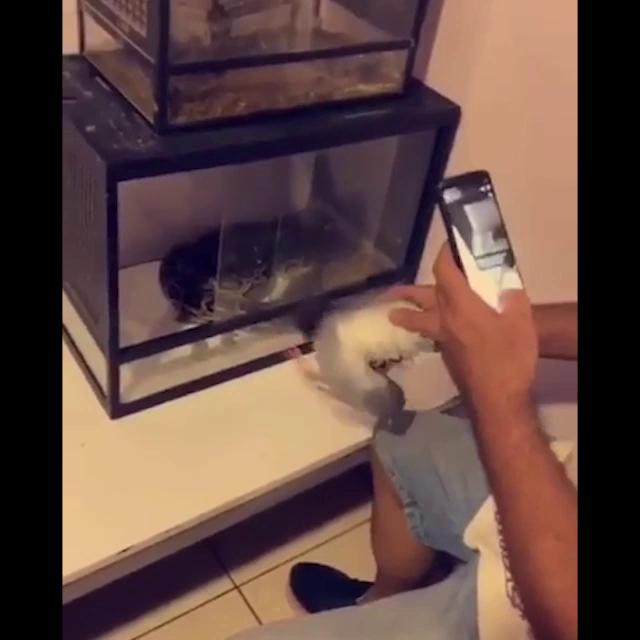 ������