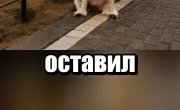 ��������� ����