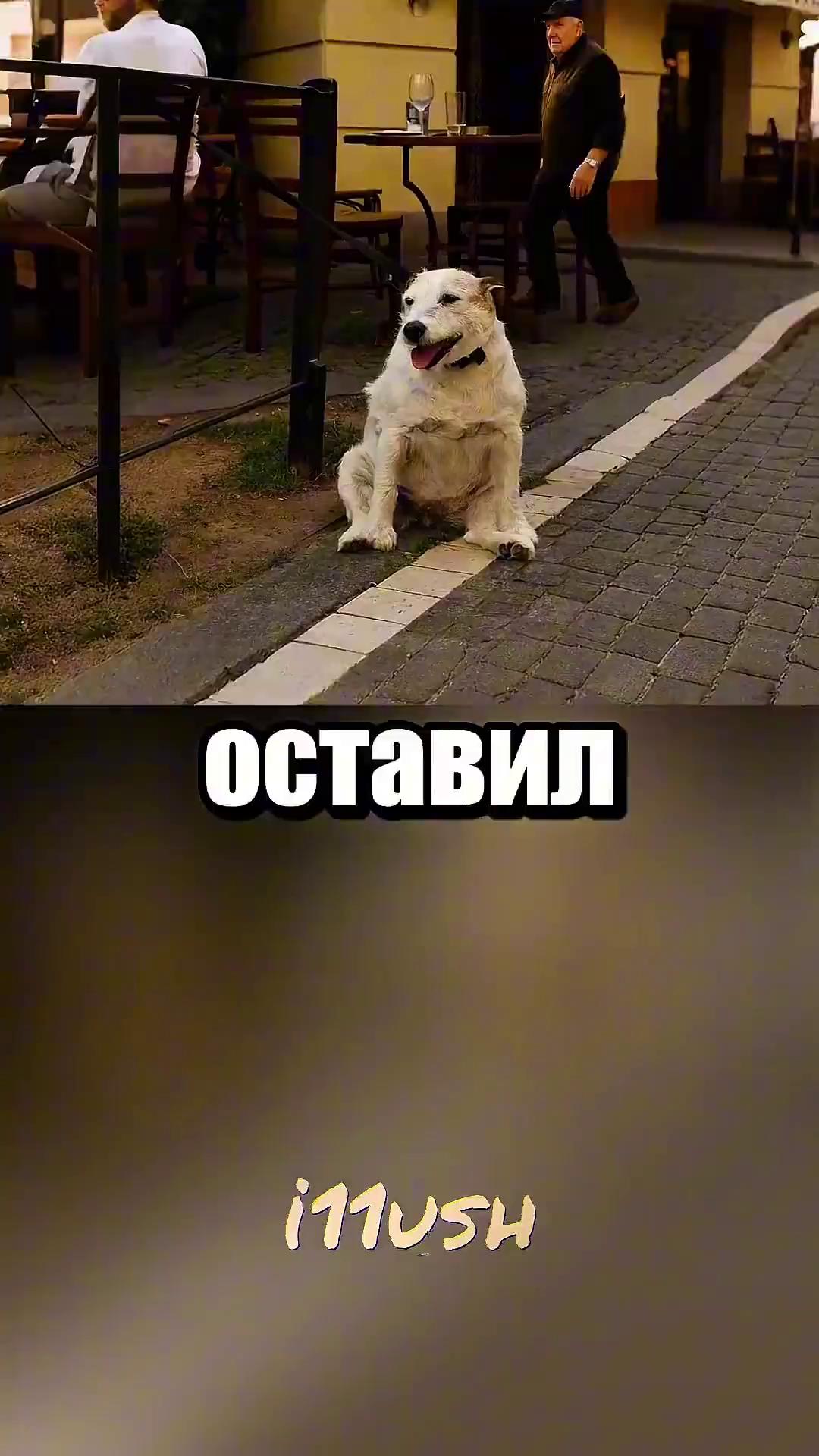 ������