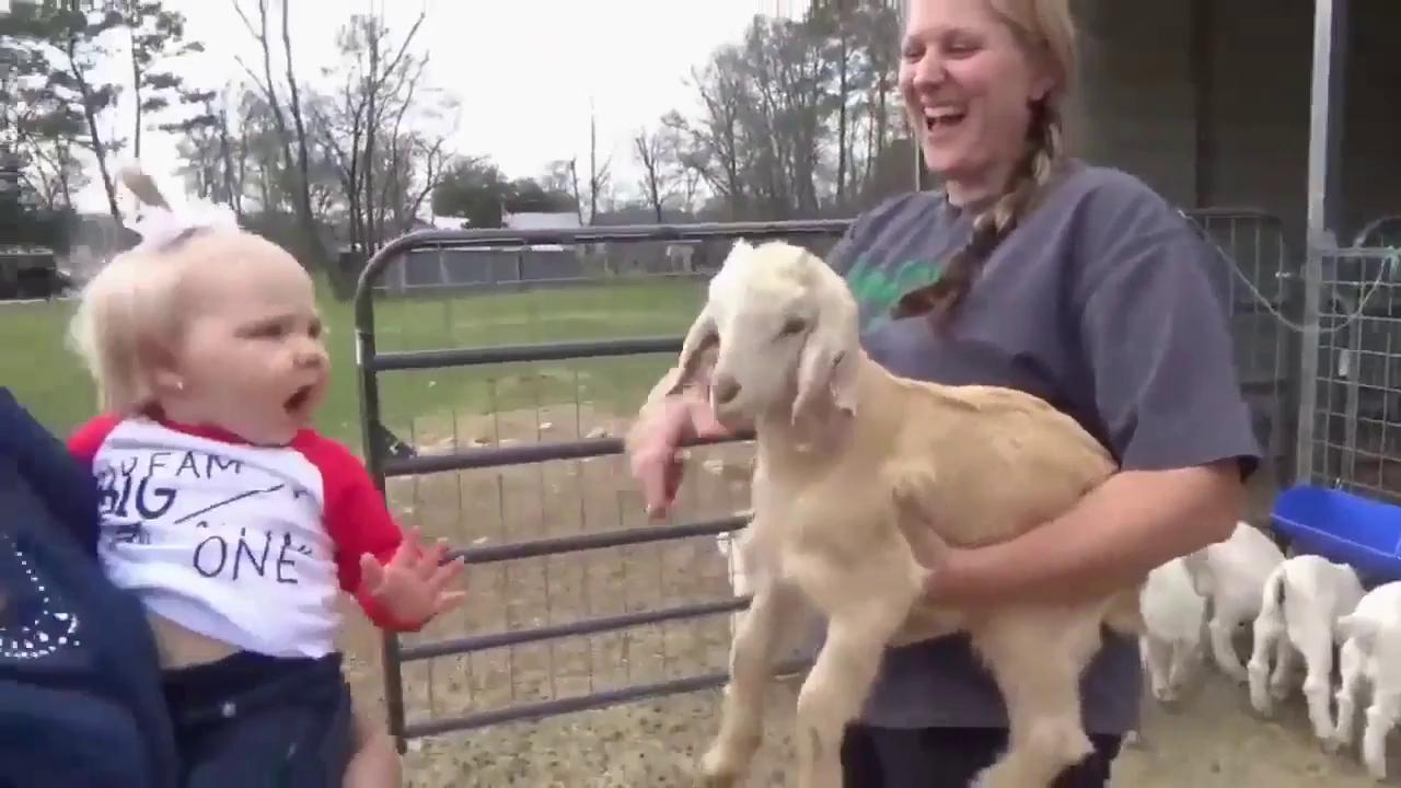 ������