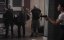  / Flypaper - 