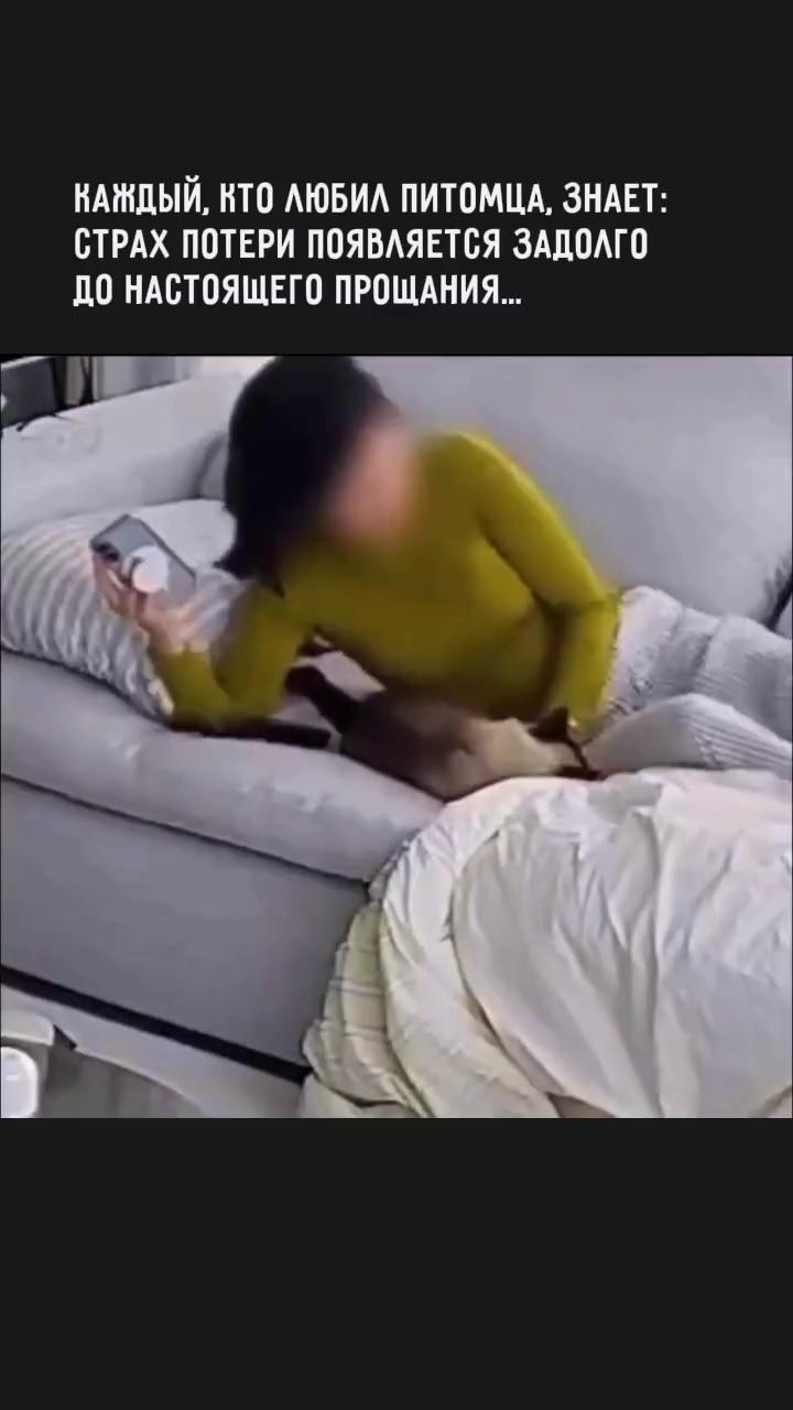������