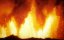    / The Next Great Extinction Event - 