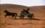    / Cheyenne Warrior - 