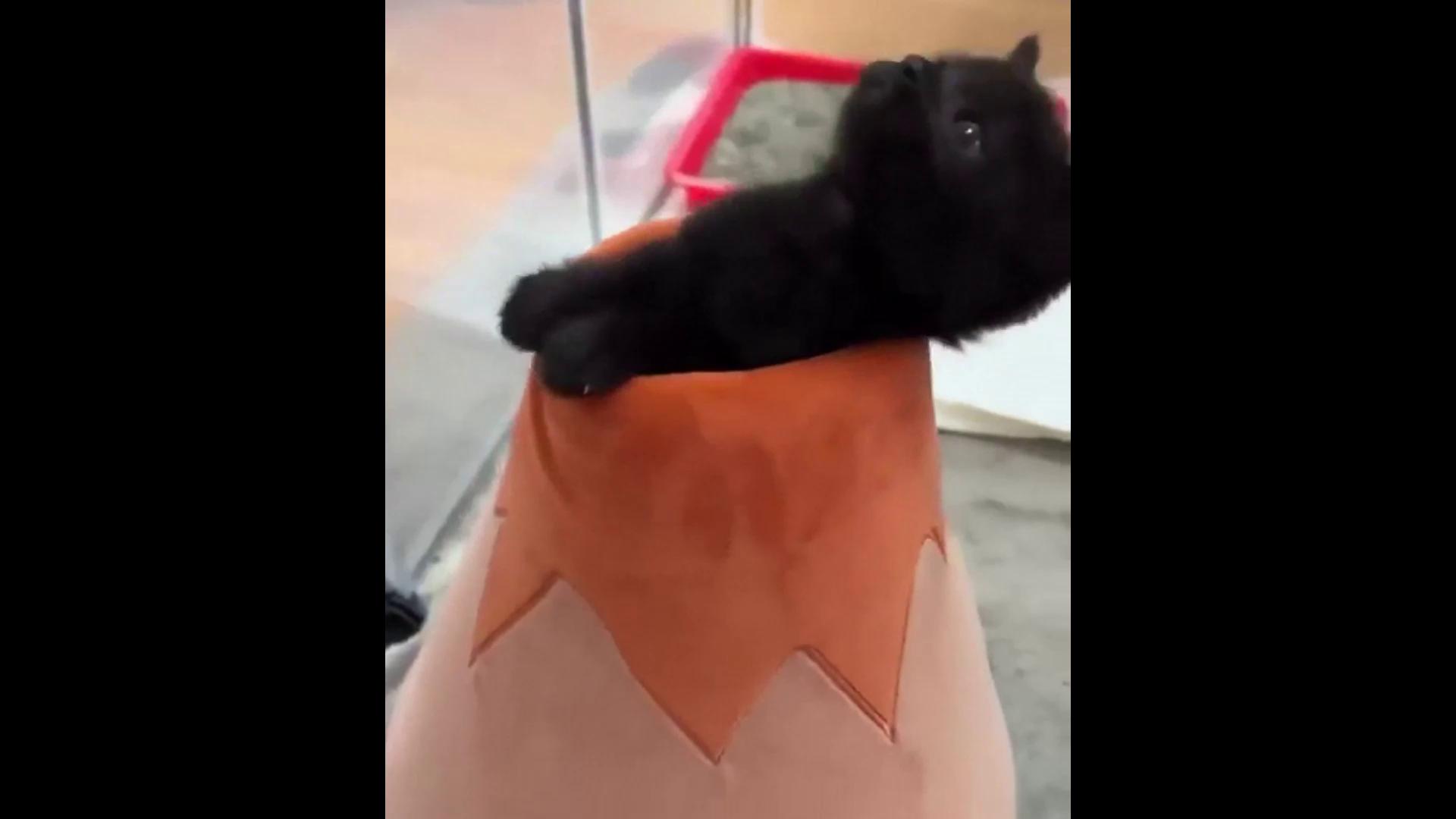 ������