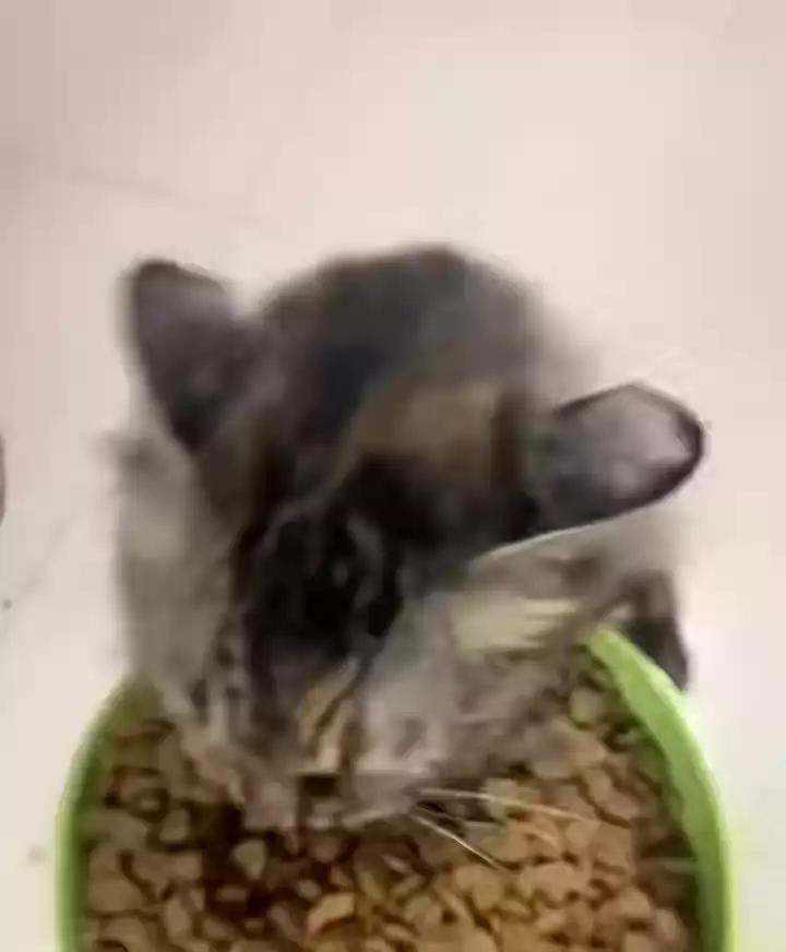 ������