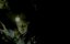  / The Descent - 