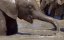 ������� ����� ������ / Great Parks of Africa - 1 �����, 1 �����