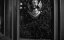   / The Haunting - 
