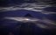   / Noah's Shark - 