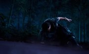 ����� ����� / Zhan Shen - 2 �����, 6 �����