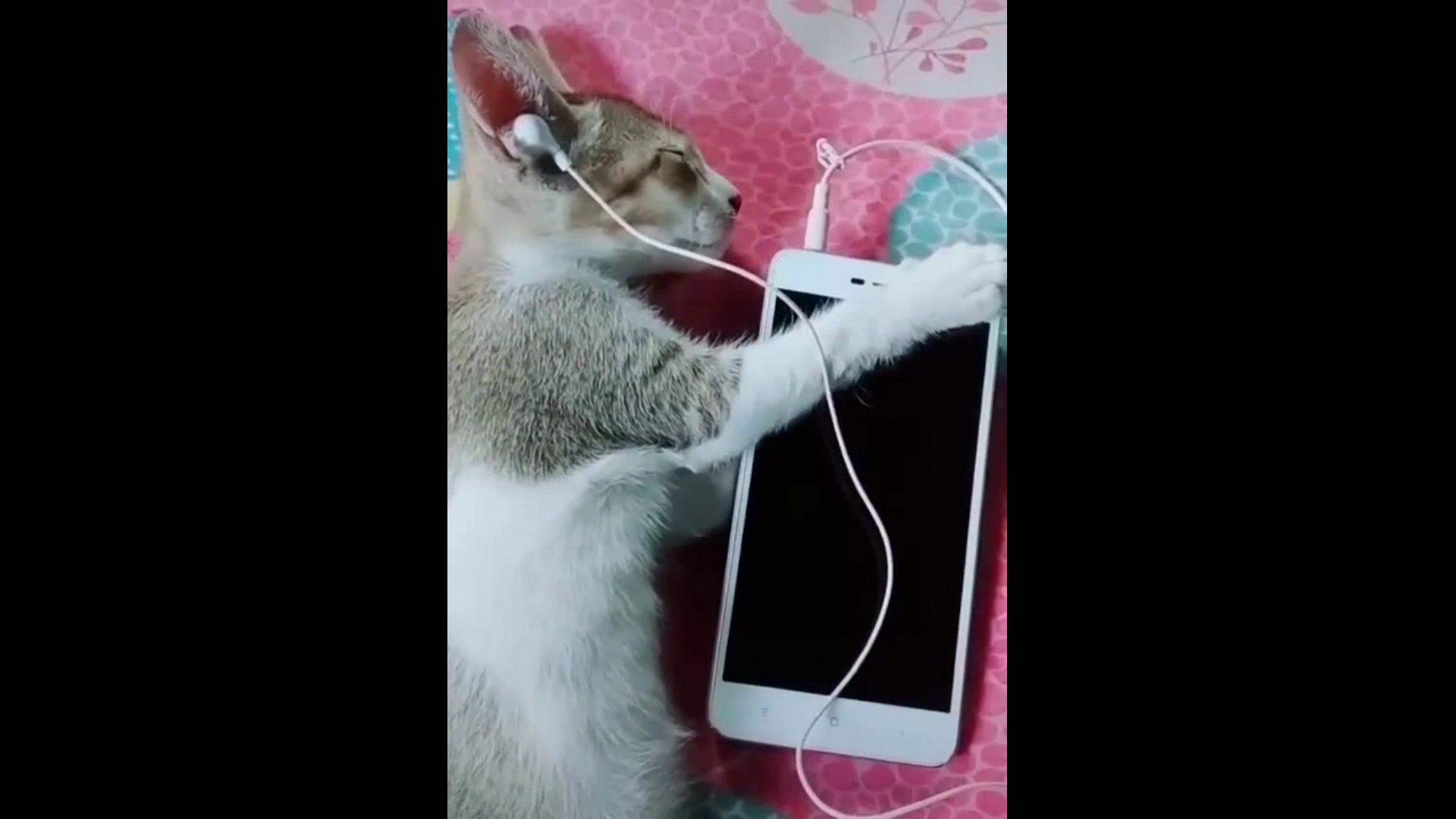 ������