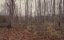   / Covenant - 