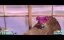 ��� ���-���������� / My Fairy Troublemaker / Meine Chaosfee & ich - ������� ����� �2
