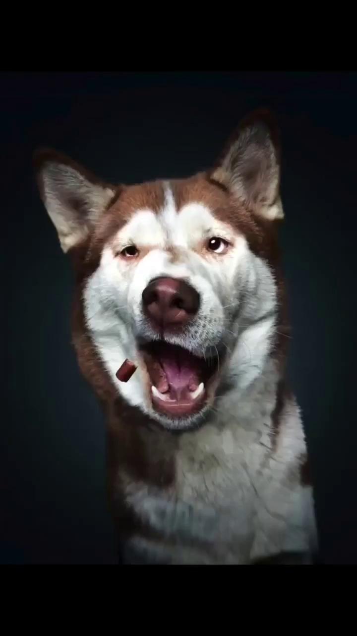 ������