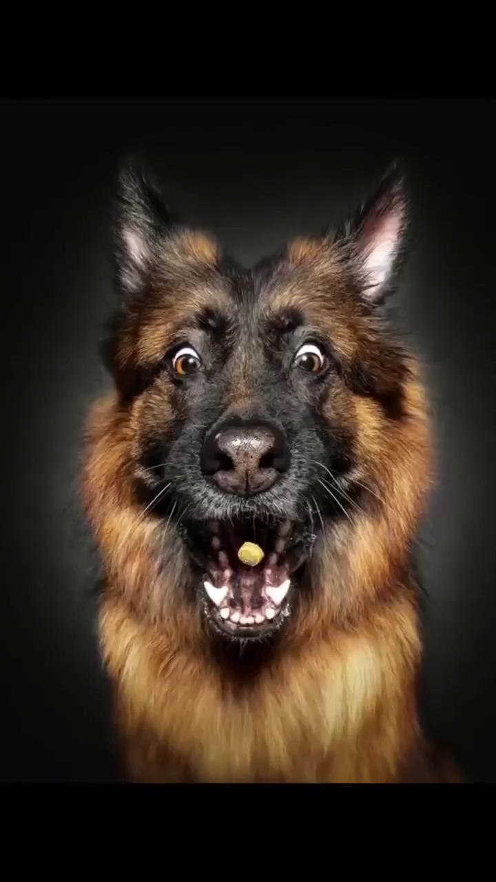 ������